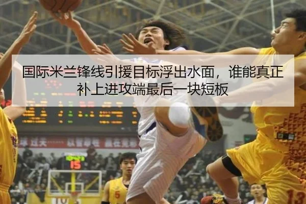国际米兰锋线引援目标浮出水面，谁能真正补上进攻端最后一块短板